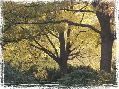 Herbst